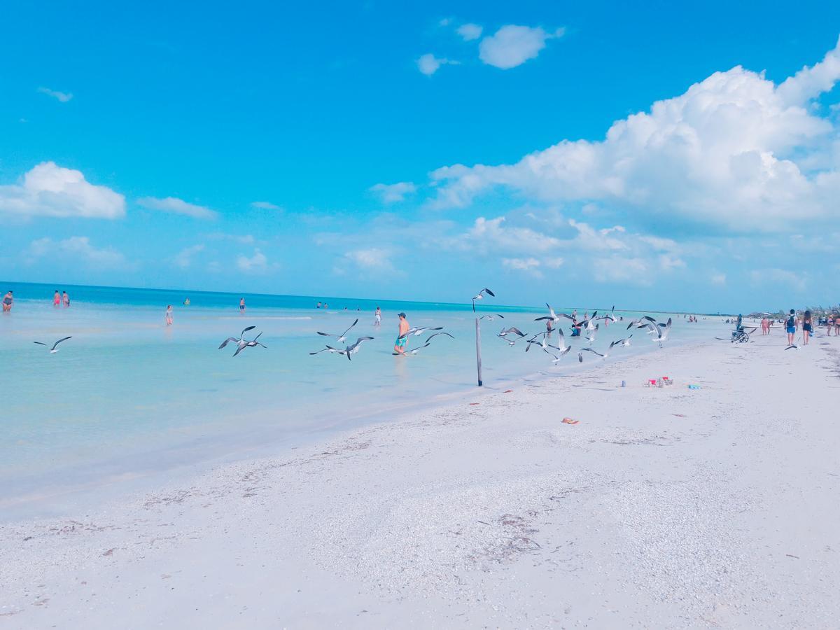 Hostel La Isla Holbox ภายนอก รูปภาพ