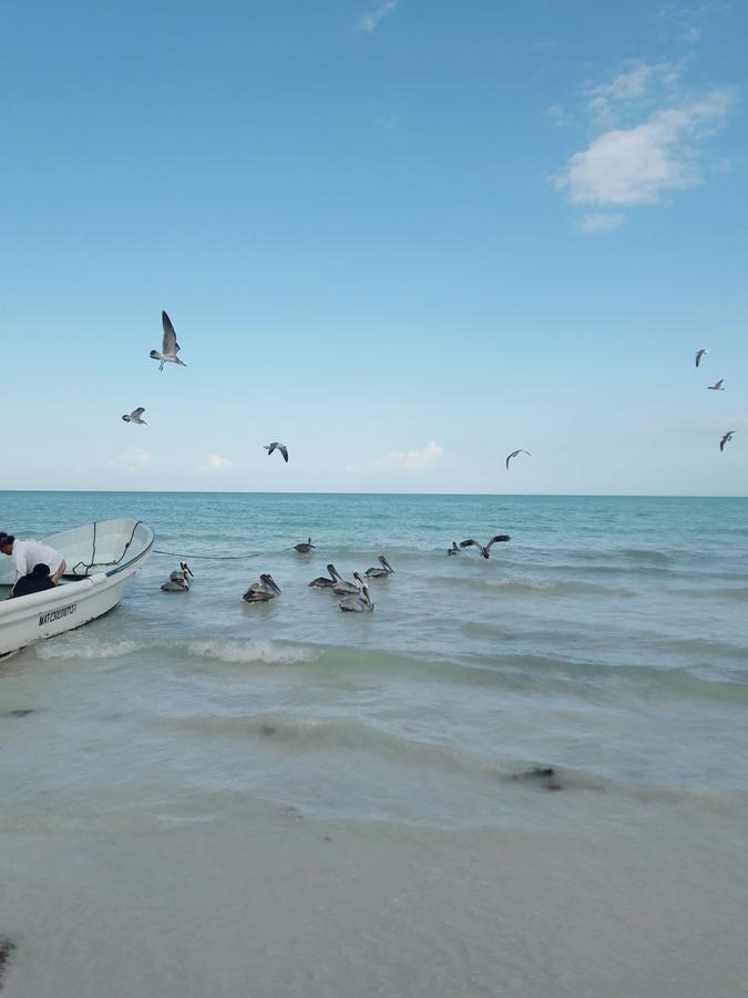 Hostel La Isla Holbox ภายนอก รูปภาพ
